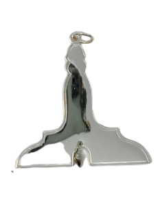 Bijou d'officier 1er Surveillant Argent