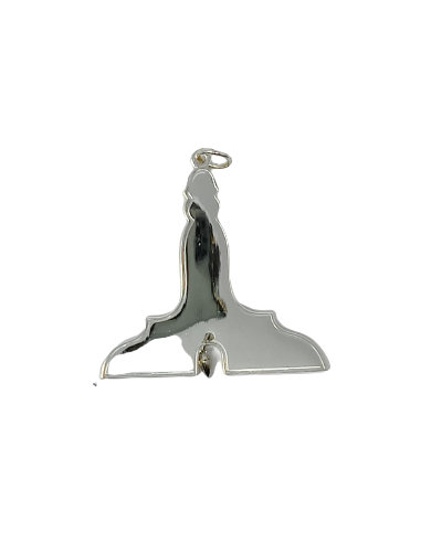 Bijou d'officier 1er Surveillant Argent